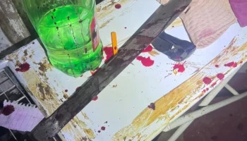 Foto: O facão utilizado na agressão - Foto: Polícia Militar/Divulgação