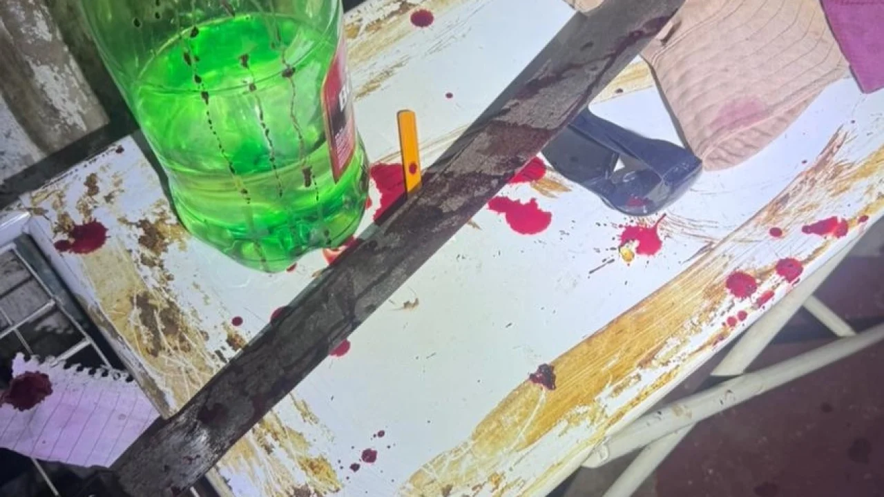 Foto: O facão utilizado na agressão - Foto: Polícia Militar/Divulgação