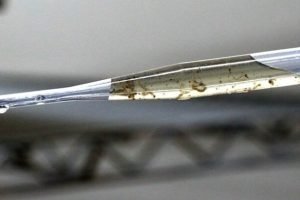 chikungunya-avanca-numero-mortos-aumenta-dourados