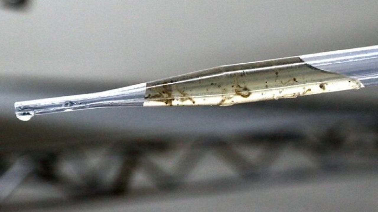 chikungunya-avanca-numero-mortos-aumenta-dourados