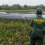 cidades-fiscalizao-ibama-divulgacao-ibama