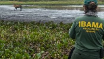 cidades-fiscalizao-ibama-divulgacao-ibama