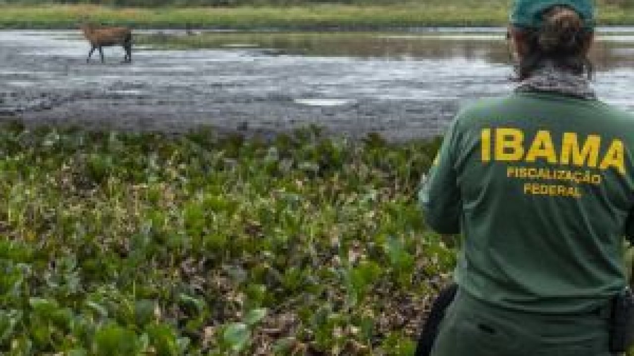 cidades-fiscalizao-ibama-divulgacao-ibama