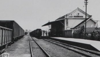 Foto: (Reprodução)