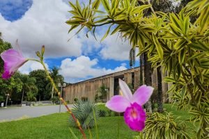 confira-agenda-alems-segunda-semana-abril