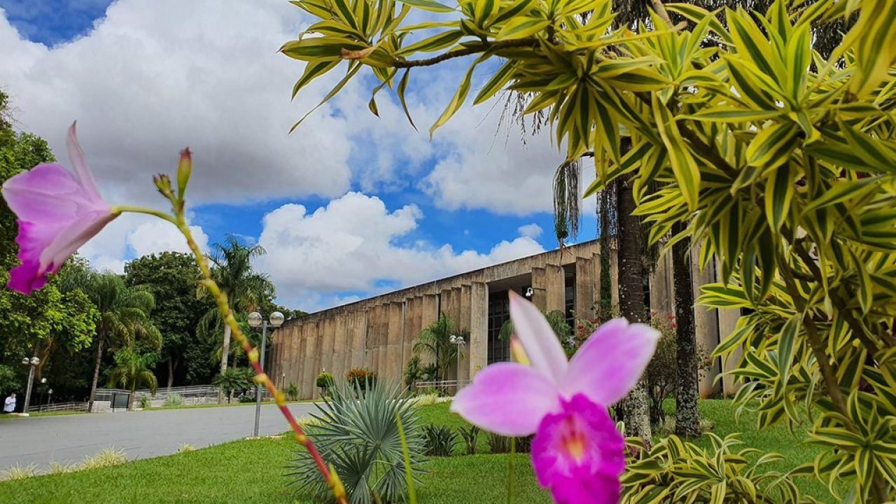 confira-agenda-alems-segunda-semana-abril