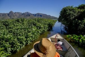 corumba-repudia-declaracao-pesca-esportiva
