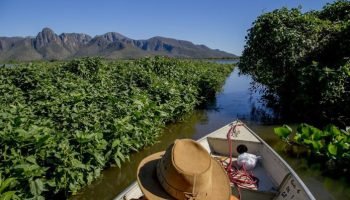 corumba-repudia-declaracao-pesca-esportiva