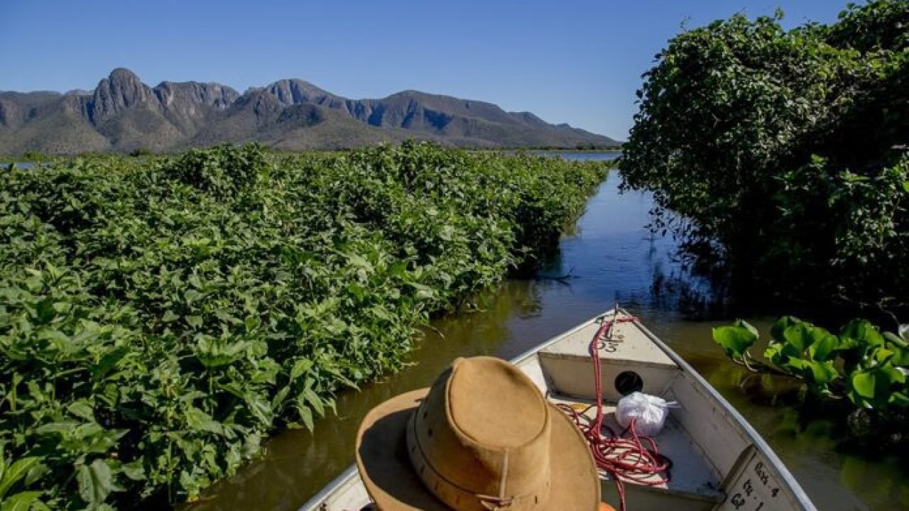 corumba-repudia-declaracao-pesca-esportiva