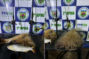 Durante a Operação Pesca Aberta 2026, a PMA apreendeu petrechos proibidos, embar