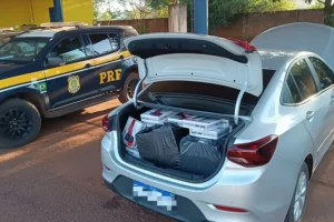 Foto: Mercadoria apreendida - Foto: PRF/Divulgação