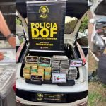 Foto: A droga foi avaliada em mais de R$ 3 milhões - Foto: DOF