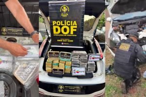 Foto: A droga foi avaliada em mais de R$ 3 milhões - Foto: DOF