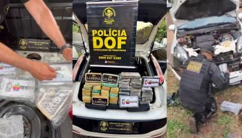 Foto: A droga foi avaliada em mais de R$ 3 milhões - Foto: DOF