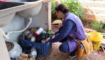 dourados-avanca-luta-chikungunya