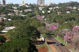 dourados-e-cidades-arborizadas-pais