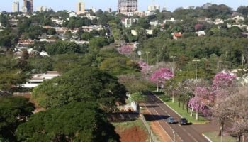 dourados-e-cidades-arborizadas-pais
