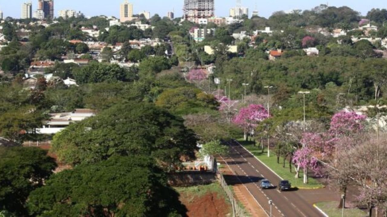 dourados-e-cidades-arborizadas-pais