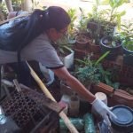 dourados-registra-cinco-mortes-chikungunya