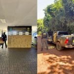 duas-toneladas-plantacao-de-milho