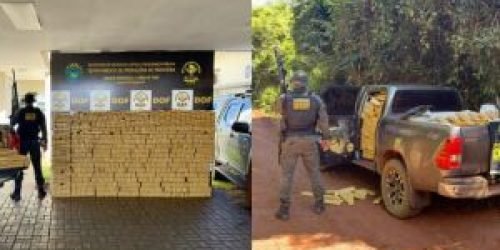 duas-toneladas-plantacao-de-milho