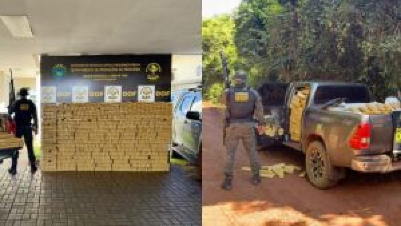 duas-toneladas-plantacao-de-milho