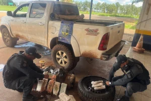 Foto: Pasta base de cocaína avaliada em R$ 3,1 milhões foi apreendida em caminho