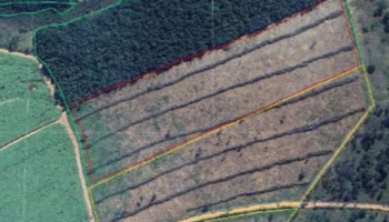 Foto: Área foi identificada por satélite pelo Ibama; empresa foi autuada em R$ 4