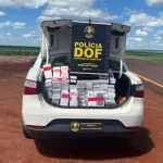 Foto: Mercadoria apreendida - Foto: DOF/Divulgação