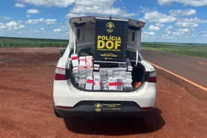 Foto: Mercadoria apreendida - Foto: DOF/Divulgação