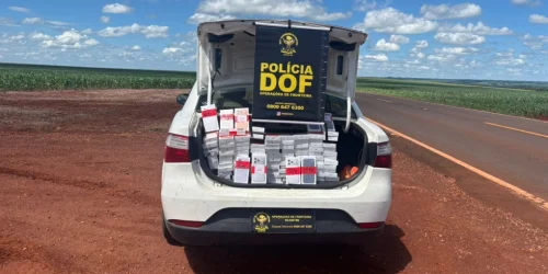 Foto: Mercadoria apreendida - Foto: DOF/Divulgação