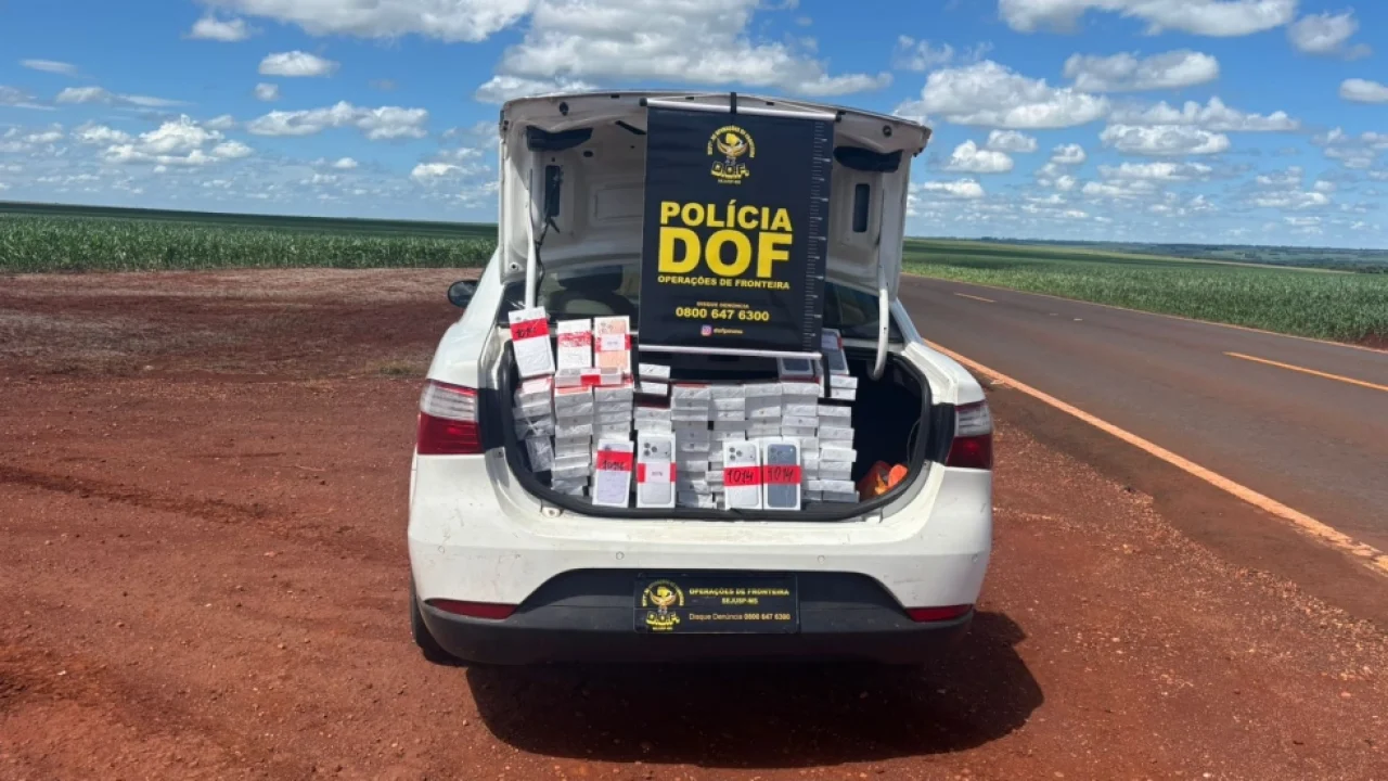 Foto: Mercadoria apreendida - Foto: DOF/Divulgação