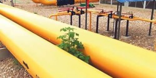 economia-gasoduto-ypfb