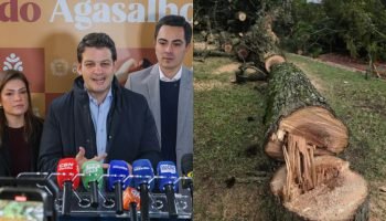 eduardo-pimentel-rebate-criticas-de-ambientalistas