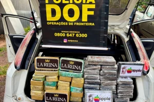 Veículo apreendido com droga - Foto: DOF/Divulgação