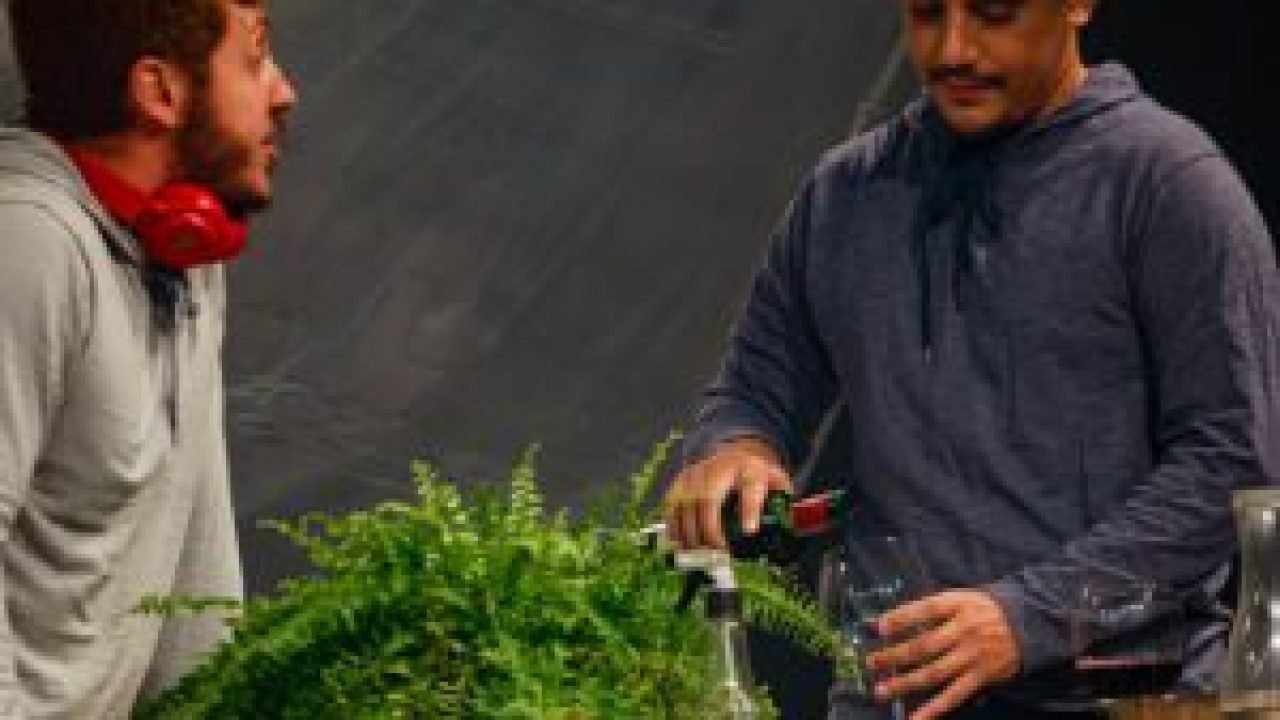 espetaculo-teatral-seco-com-fulano-di-tal-8602