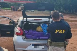 f0416f814cb8c87976afbbaed8394512_1