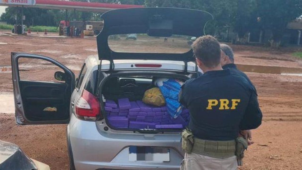 f0416f814cb8c87976afbbaed8394512_1