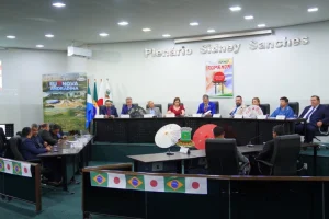 Sessão solene deve homenagear os 118 anos da imigração japonesa no Brasil — Foto