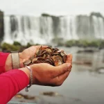 Equipes e voluntários participaram da operação de limpeza que retirou 383 quilos