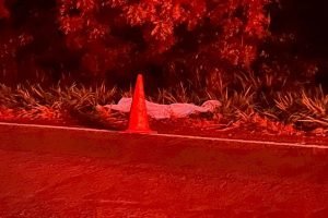 f88d5cdebfd453403ad94380e6ee5f41_1