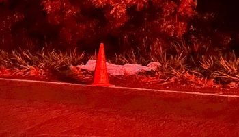 f88d5cdebfd453403ad94380e6ee5f41_1