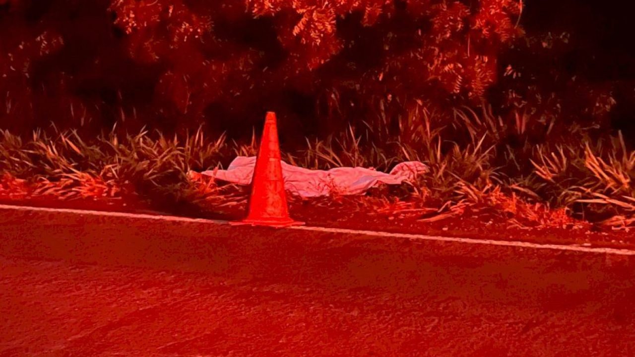 f88d5cdebfd453403ad94380e6ee5f41_1