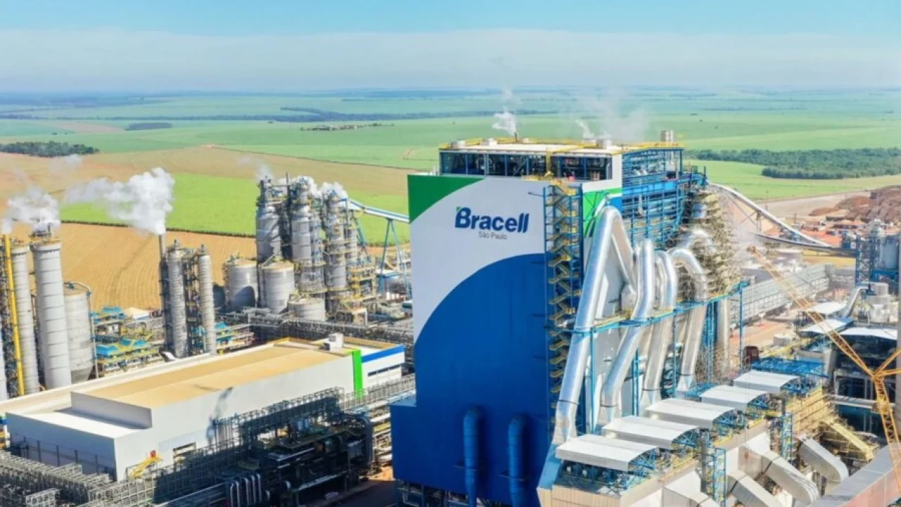 Foto: Projeto da Bracell em Bataguassu prevê investimento de R$ 16 bilhões e ger