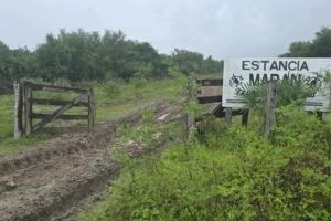 Fazenda onde polícia fez buscas — Foto: Fazenda onde polícia fez buscas (reprodu