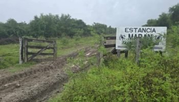 Fazenda onde polícia fez buscas — Foto: Fazenda onde polícia fez buscas (reprodu