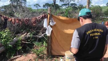 Fiscalização do MPT em fazenda denunciada por trabalho forçado em MS. — Foto: Fi