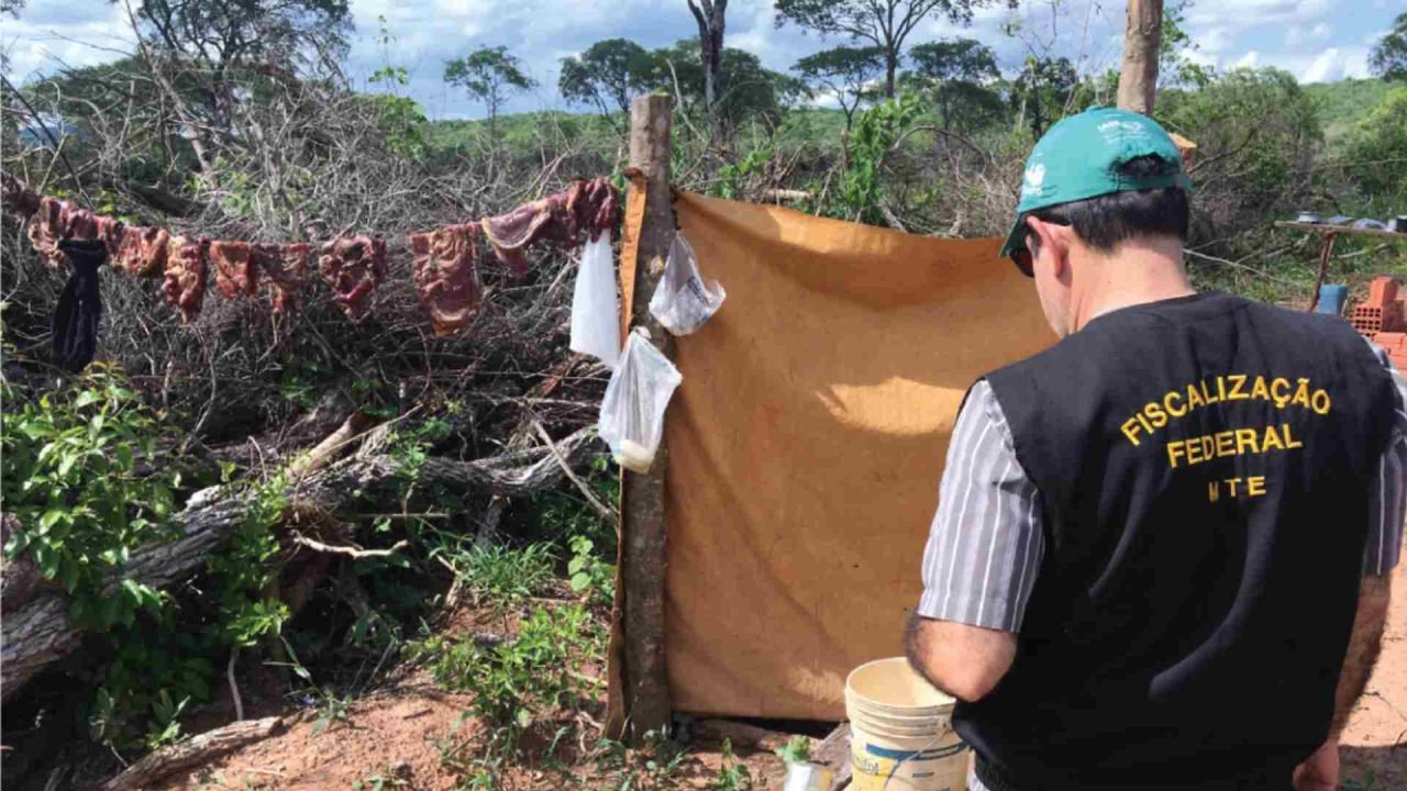 Fiscalização do MPT em fazenda denunciada por trabalho forçado em MS. — Foto: Fi