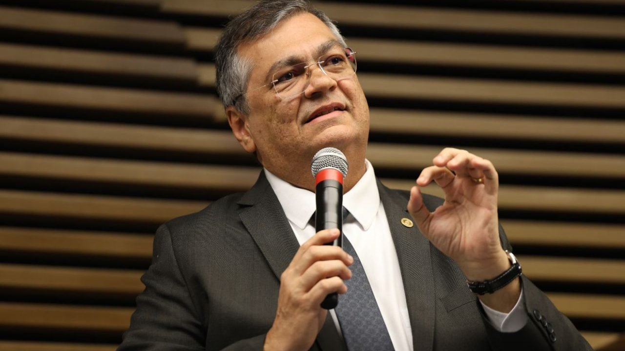 flavio-dino-decisoes-monocraticas-stf
