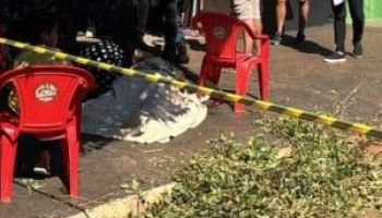 foto-morto